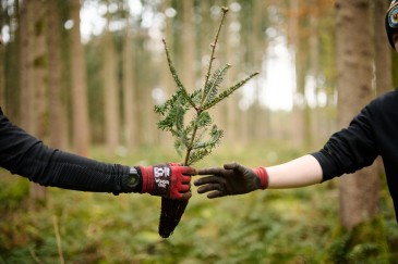 Wald Baumpflanzaktion 2024 Tanne