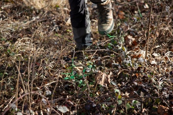 Wir-machen-Wald-Impression_10